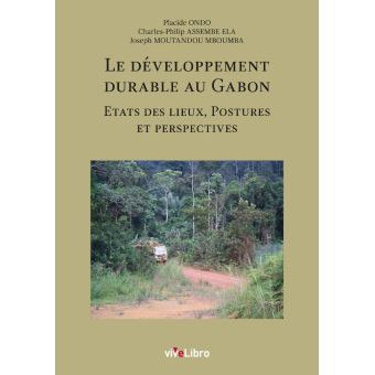 Ebook Livre numérique - état des lieux, perspectives et enjeux par