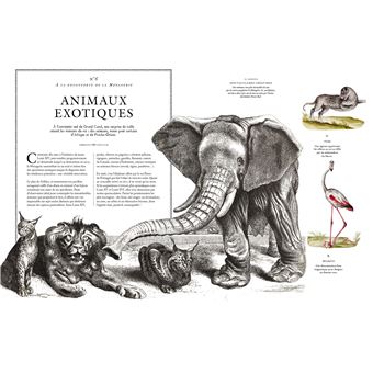 Château de Versailles