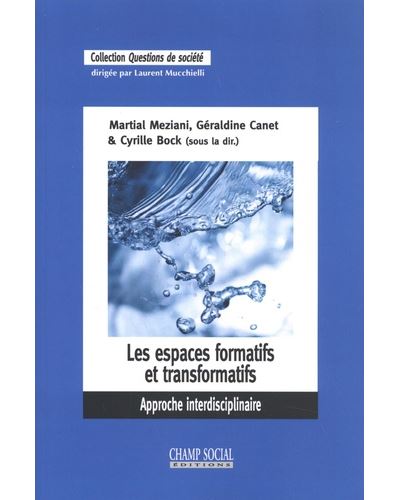 Les espaces formatifs et transformatifs - Martial Meziani - broché