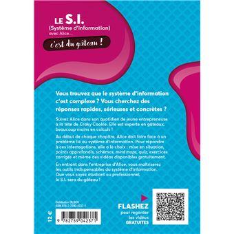 Le S.I. (système d'information) avec Alice...c'est du gâteau !