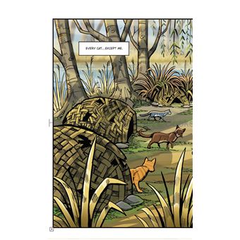 La guerre des clans - Une ombre au clan de la rivière