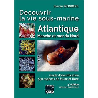 Poisson Rouge Mer Atlantique