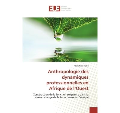Anthropologie des dynamiques professionnelles en Afrique de l'Ouest