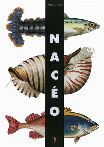 Nacéo - Francesco Pittau - cartonné