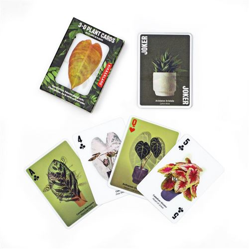 Cartes de plantes en 3D