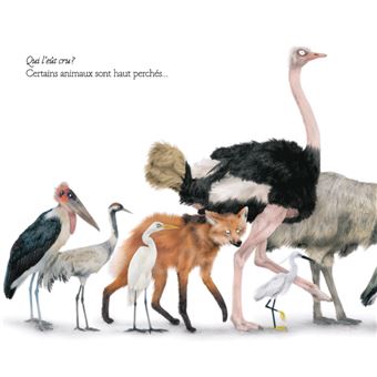 Le grand défilé des animaux