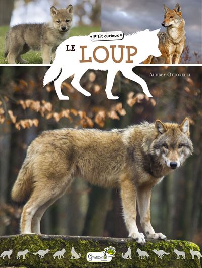 Le loup - C BOUTRY - cartonné