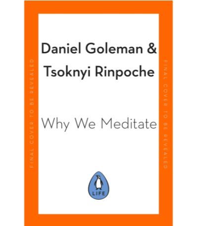 Why We Meditate 7 Simple Practices For A Calmer Mind - Relié - Daniel ...