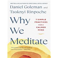 Why We Meditate