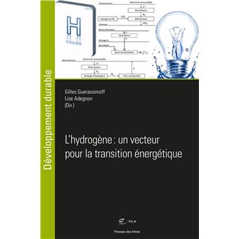 L'hydrogène, un vecteur pour la transition énergétique ?