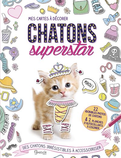 Chatons superstar
