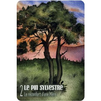 S'ouvrir à l'énergie des arbres