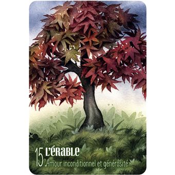 S'ouvrir à l'énergie des arbres