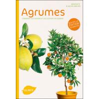 Agrumes - Comment les choisir et les cultiver facilement