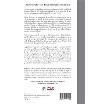 Résilience et avenir des anciens territoires miniers
