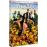 WeedsWeeds Coffret Saison 2 DVD Amaray_0