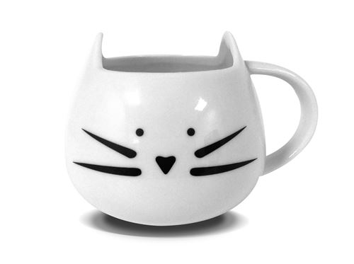 Coffret Juju Fitcats - Boissons et mug cakes, healthy et gourmands