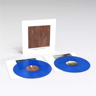 End Beginnings Vinyle Bleu