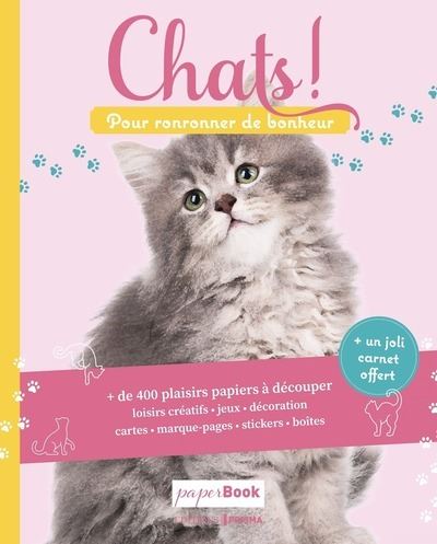 Chats Broche Collectif Achat Livre Fnac