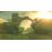The Legend of Zelda : Breath of the Wild Nintendo Switch_7