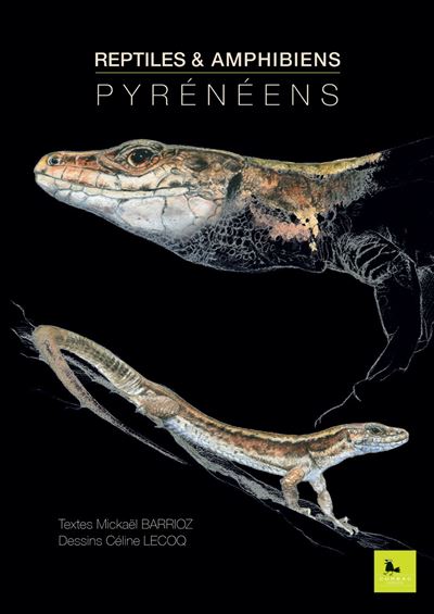 REPTILES & AMPHIBIENS Pyrénéens - Mickael Barrioz - broché