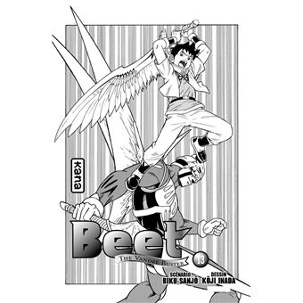 Beet the Vandel Buster - Tome 13