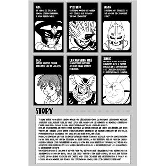 Beet the Vandel Buster - Tome 13