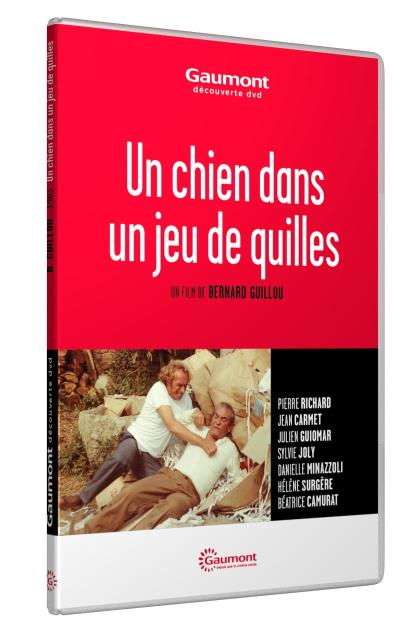 Chien dans un jeu de quilles