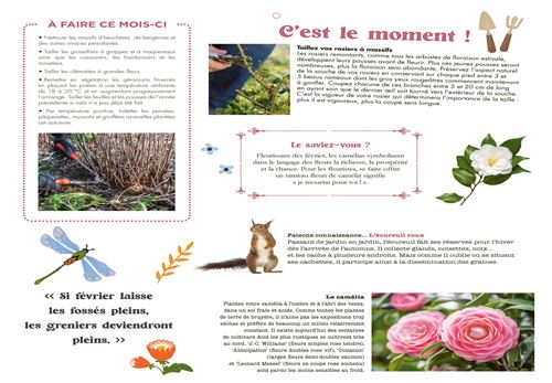 Calendrier Mural Illustré 2023 – Alma Plantes