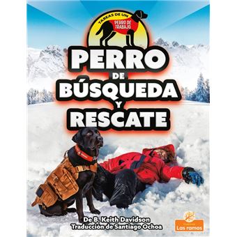 Perro de búsqueda y rescate (Search and Rescue Dog) - 1