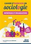 Cahier d'exercices en sociologie – Entreprises et organisations