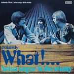 Definitely What! - Vinilo