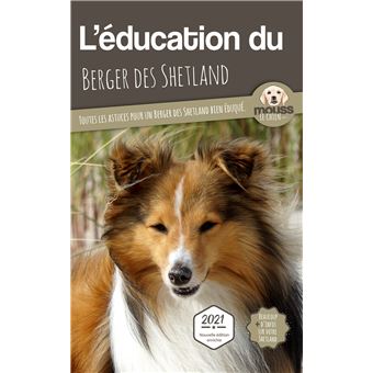 L'éducation du Berger des Shetland