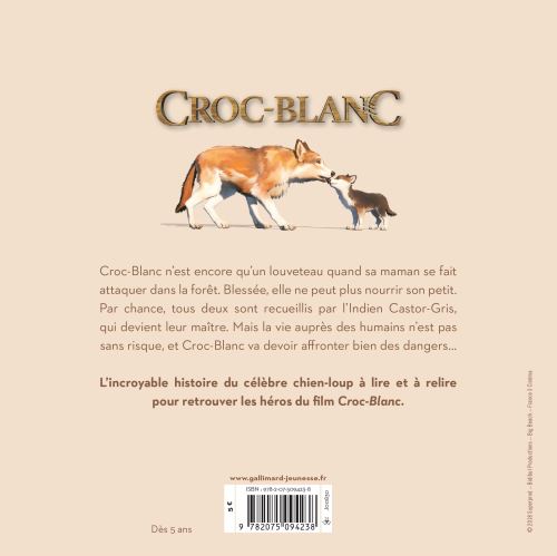 Croc Blanc Lhistoire Dun Chien Loup Extraordinaire