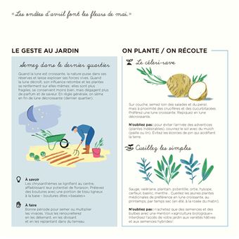 Comment jardiner avec la lune ?