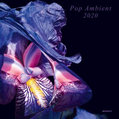 POP AMBIENT 2020 (2LP + DL + ARTBOO