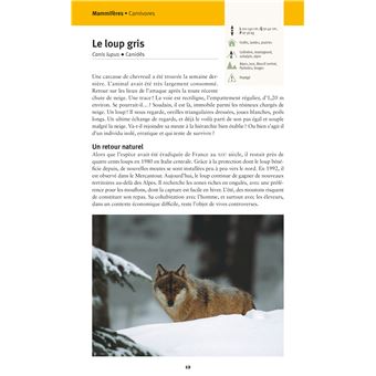 Faune et flore de nos montagnes