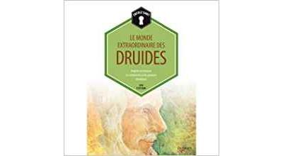 Le monde extraordinaire des druides