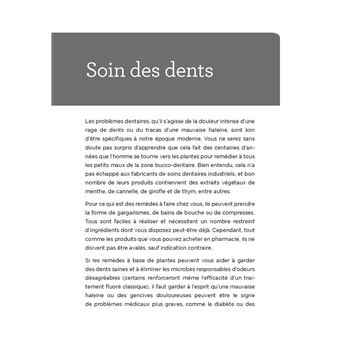 De la lavande, du persil, de la menthe et de la sauge