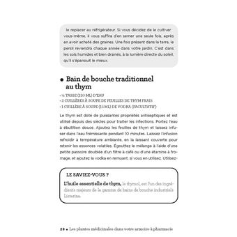 De la lavande, du persil, de la menthe et de la sauge