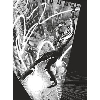 Intégrale Capricorne