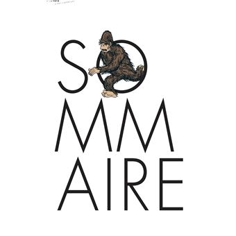 Tintin - C'est l'aventure 2