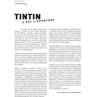 Tintin - C'est l'aventure 2