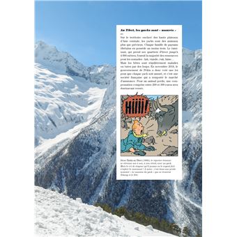 Tintin - C'est l'aventure 2