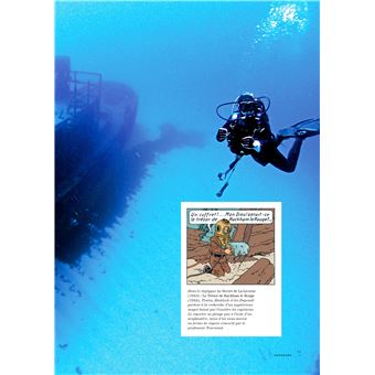 Tintin - C'est l'aventure 2