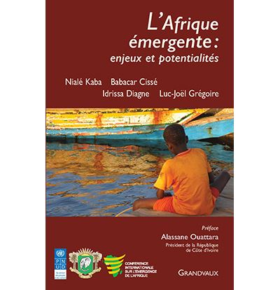 L'Afrique émergente : enjeux et potentialités