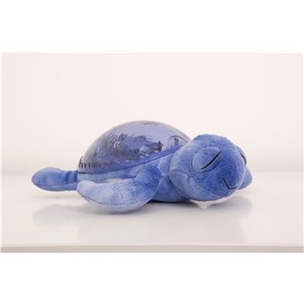 CLB-REC-TURTLE-OC