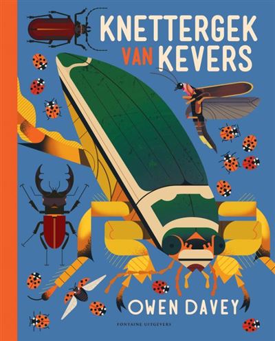 Knettergek van kevers