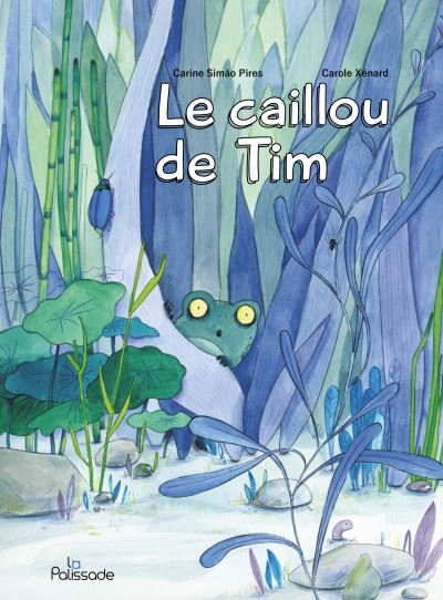 Le caillou de tim