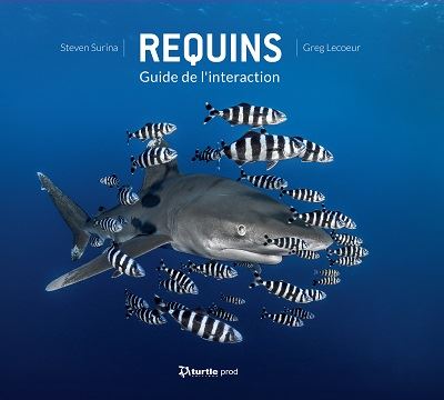 Requins guide de l'interaction